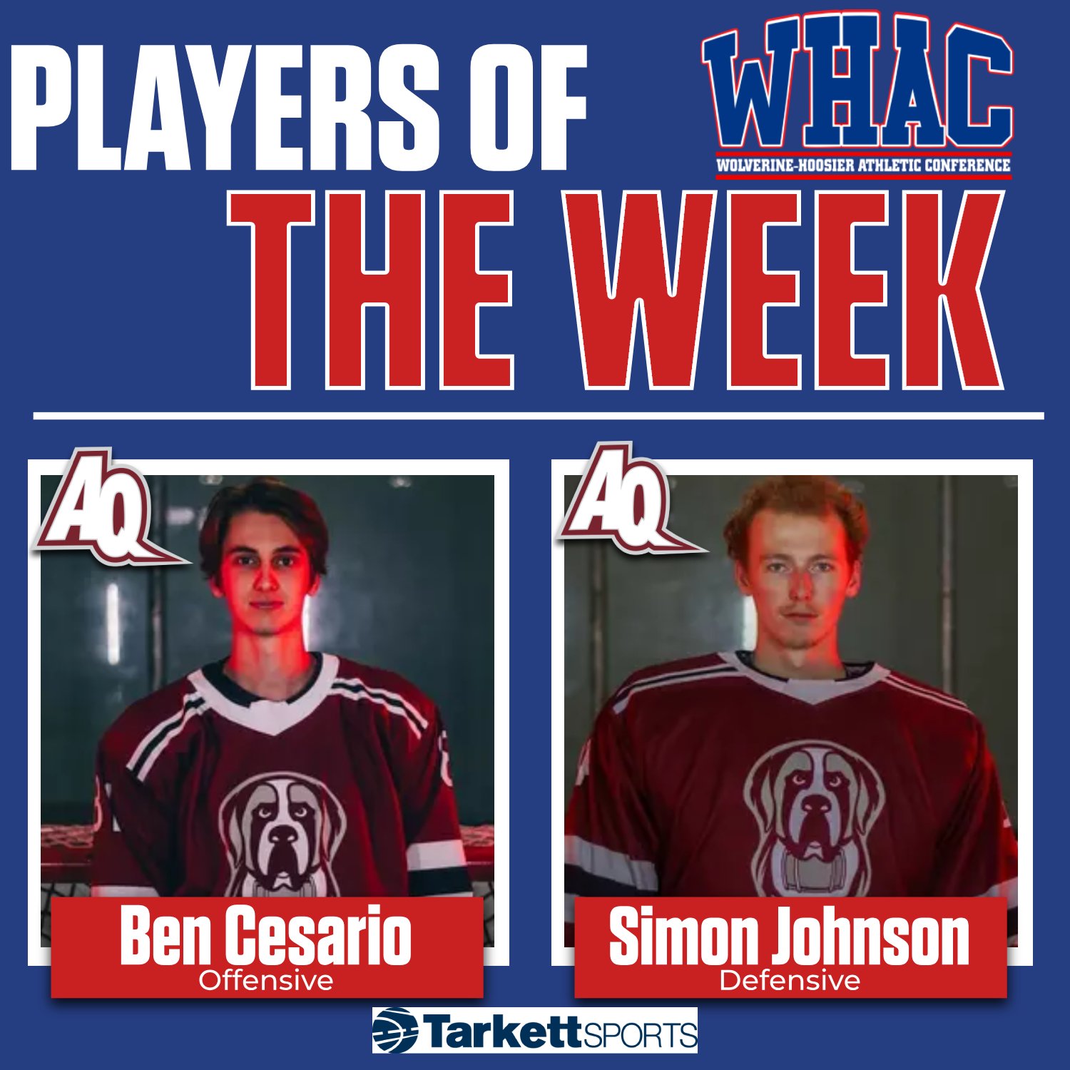Aquinas Sweeps Hockey Weekly Honors