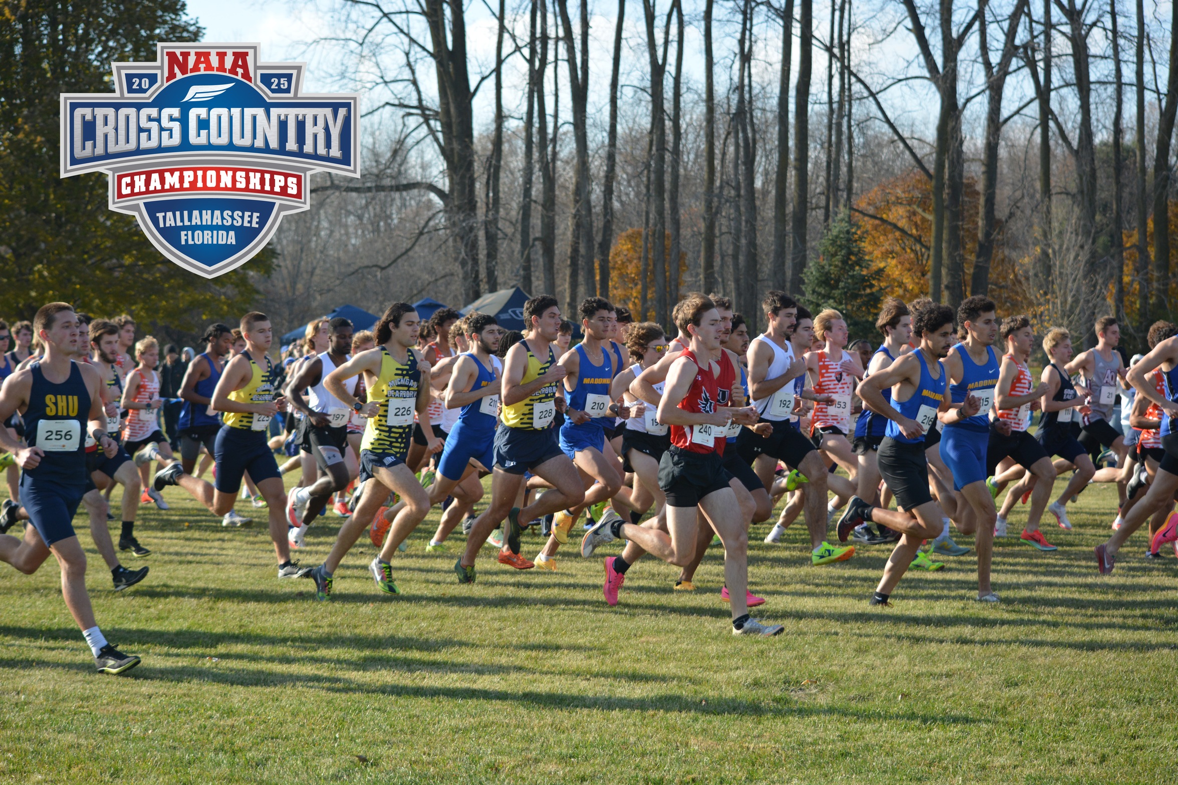 Men's Cross Country: Cornerstone, Madonna and Aquinas + Individuals Qualify for NAIA Nationals