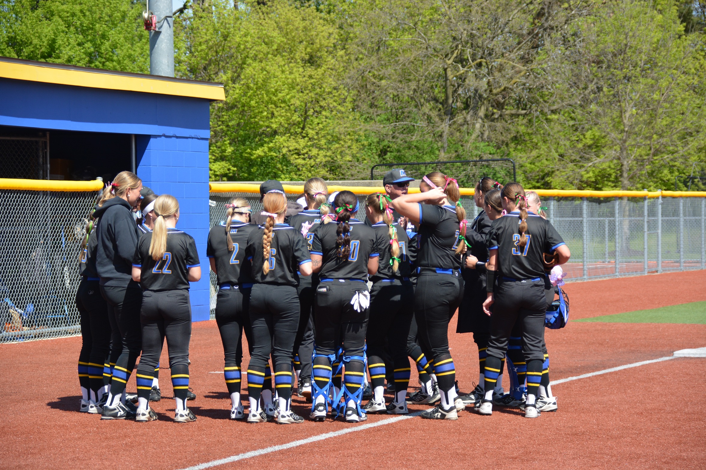 Madonna Softball Set for National Title Game Matchup with Southeastern