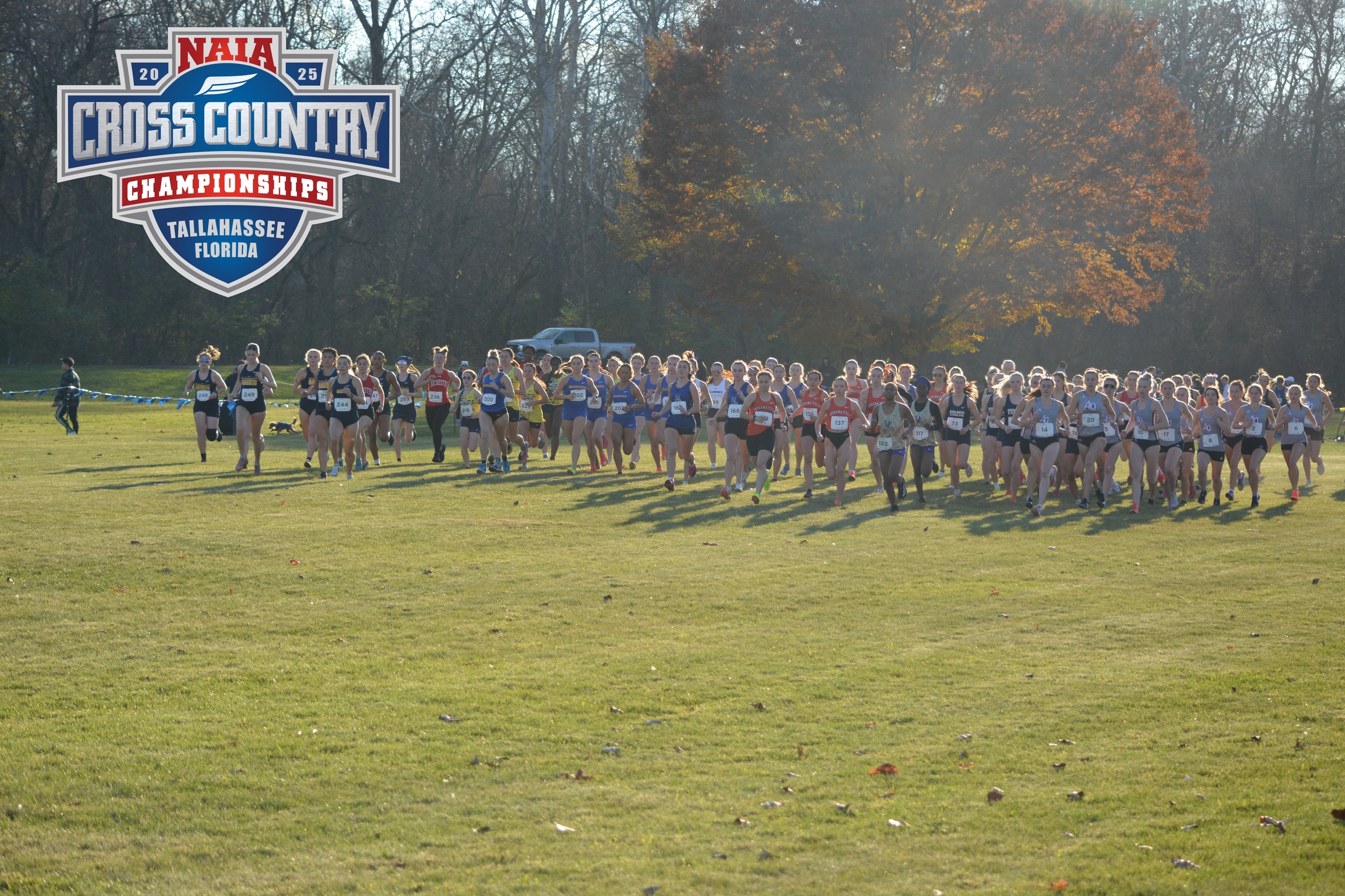 Women's Cross Country: Cornerstone, Aquinas + Individuals Qualify for NAIA Nationals